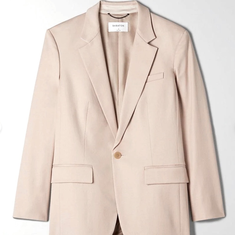 Aritzia Babaton Agency Blazer